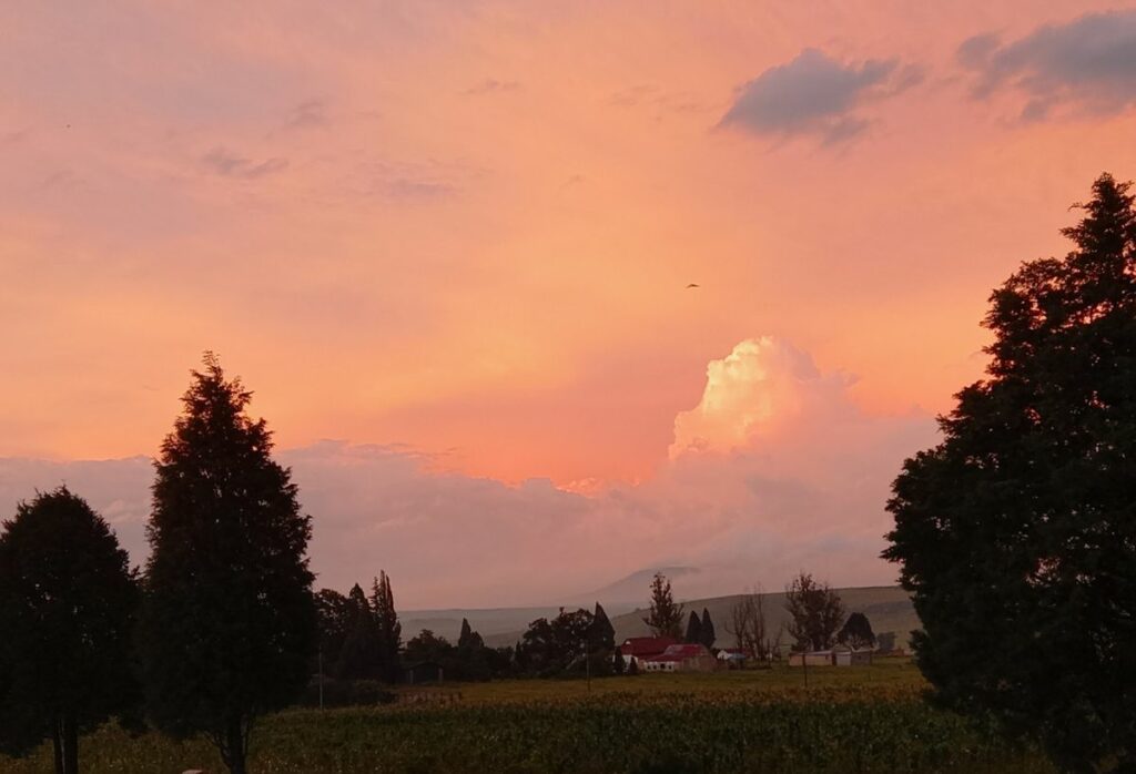 Image #2 from Marti Gerber